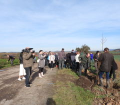 Sázení stromu - 70 let CHKO Český ráj