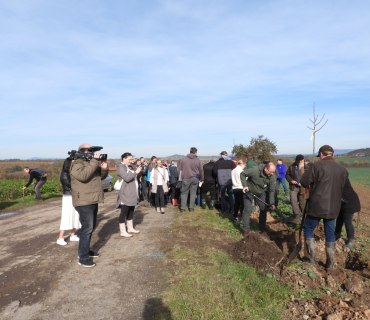 Sázení stromu - 70 let CHKO Český ráj