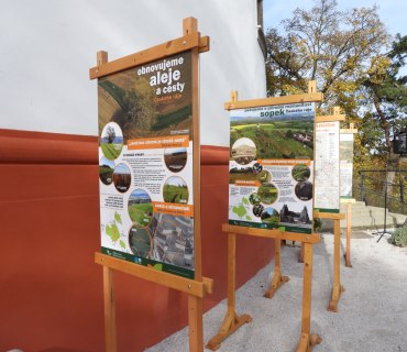 Sázení stromu - 70 let CHKO Český ráj