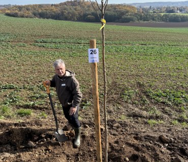 Sázení stromu - 70 let CHKO Český ráj